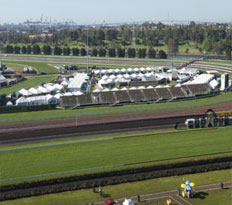 The site of the Melbourne cup.